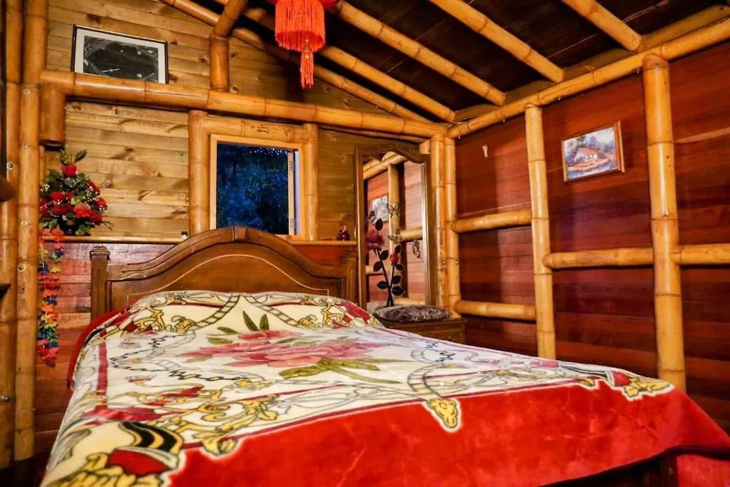 Vila Simba Medellín